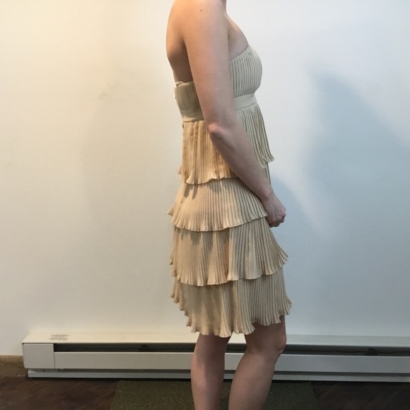 Anna Sui Tan Pleated Tiered Strapless Dress - Picture 5 of 8